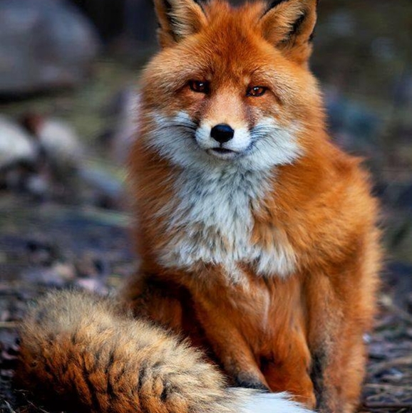 ๐๐ ๐ ๐๐ฟ๐๐ถ - Picture 3 of 7